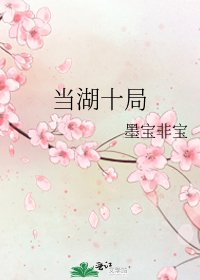 《当湖十局》