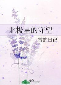 北极星的守望