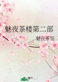 《魅夜茶楼第二部》
