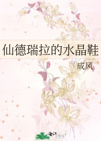 《仙德瑞拉的水晶鞋》