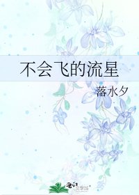 《不会飞的流星》