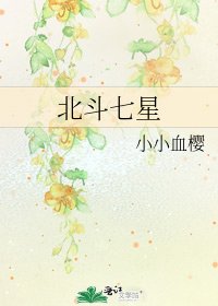 《北斗七星》