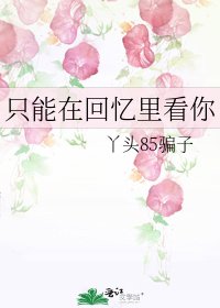 《只能在回忆里看你》