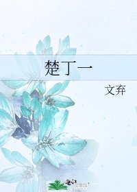 《楚丁一》