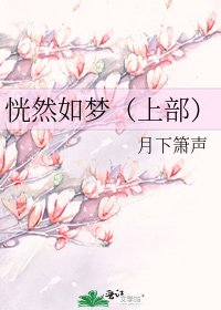 《恍然如夢(上部)》