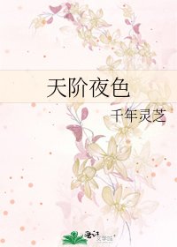 《天阶夜色》