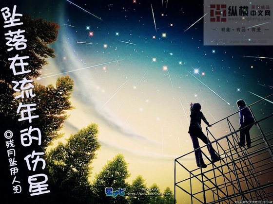 墜落在流年裡的傷星