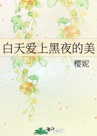 《白天爱上黑夜的美》