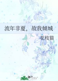 《流年非夏,故我倾城》