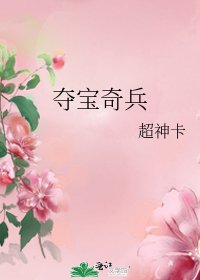 奪寶奇兵