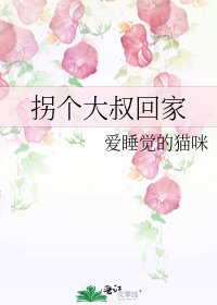 《拐個大叔回家》