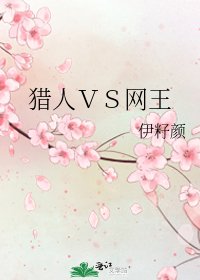 《猎人VS网王》