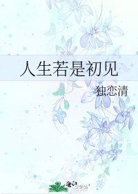 《人生若是初见》