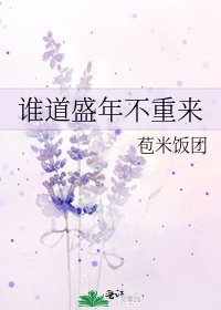 谁道盛年不重来