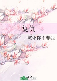 《复仇》