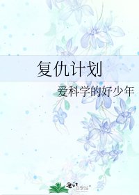 《复仇计划》