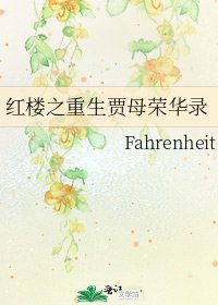 红楼之重生贾母荣华录
