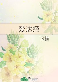 《爱达经》