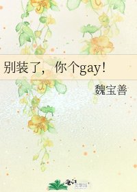 《別裝了,你個gay!》