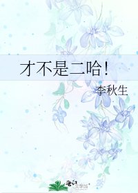 《才不是二哈!》