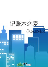 《记账本恋爱》