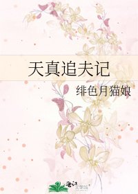 《天真追夫记》