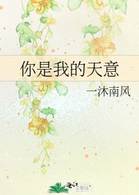 《你是我的天意》