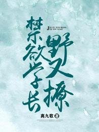 禁欲学长野又撩