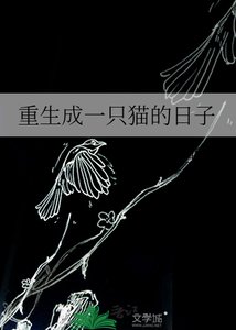 重生成一只猫的日子