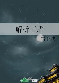 《解析王盾》