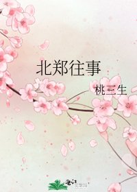 《北郑往事》
