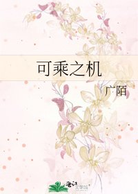 《可乘之机》