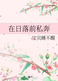 《在日落前私奔》