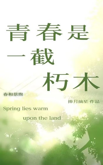 《青春是一截朽木》