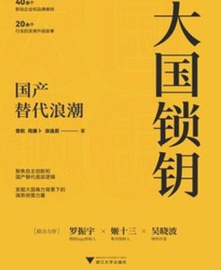 《大国锁钥:国产替代浪潮(出版书)》