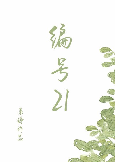 编号21