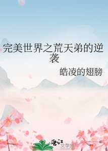 《完美世界之荒天弟的逆袭》