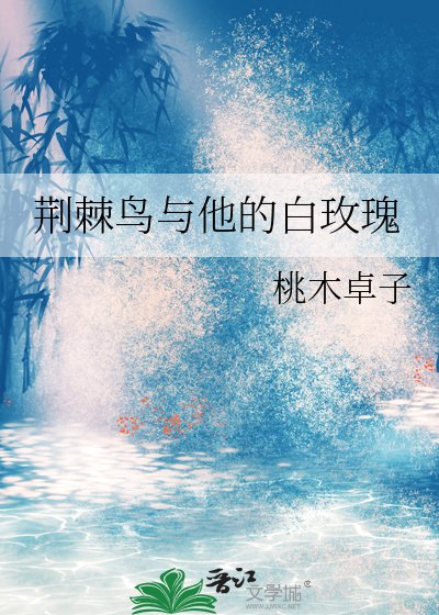 《荆棘鸟与他的白玫瑰》