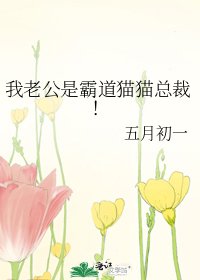 我老公是霸道猫猫总裁!