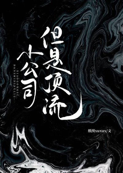 小公司，但是顶流