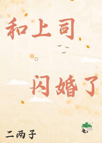 《和上司闪婚了》
