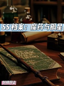 《SS档案:魔药与孤星》