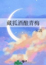 《(排球少年同人)藏狐酒酿青梅》