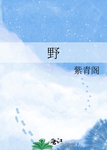《野》