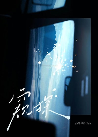 《窥探》