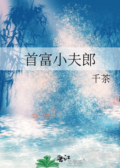 首富小夫郎