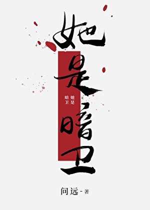 她是暗衛gb