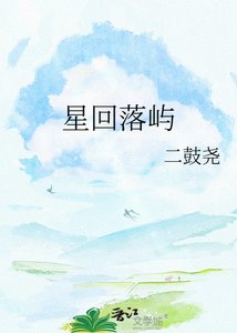 《星回落屿》