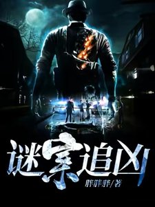 《谜案追凶》