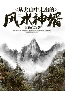 《从大山中走出的风水神婿》